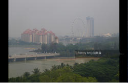 The Riverine By The Park (D12), Apartment #142712962